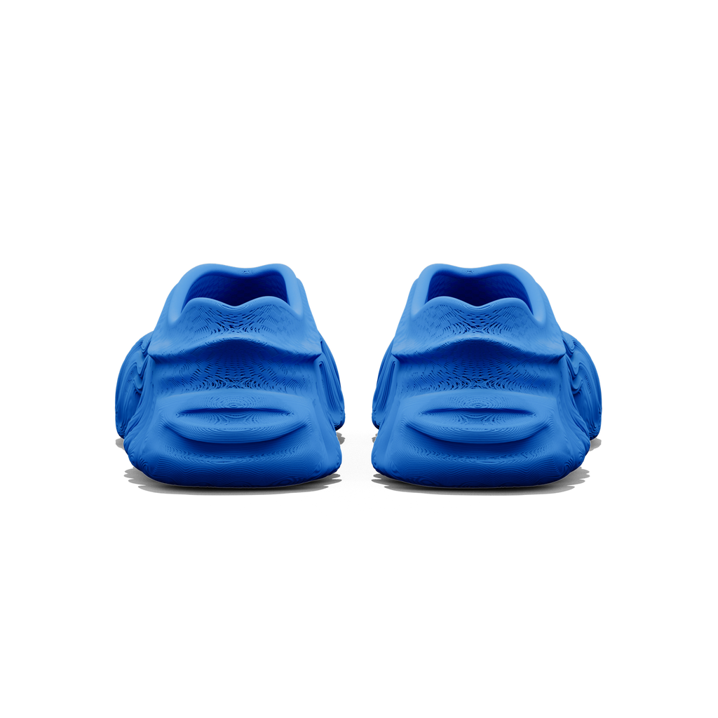 Basilisk - zellerfeld