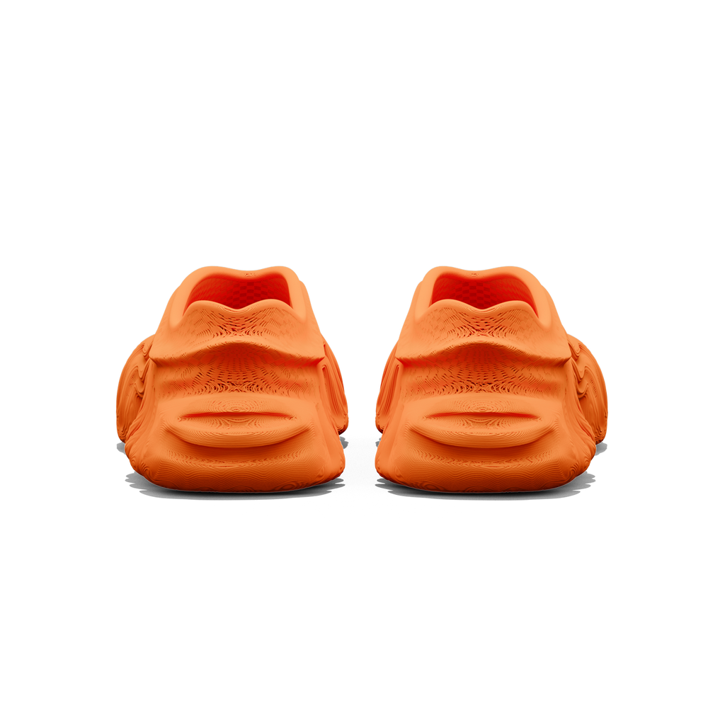 Basilisk - zellerfeld