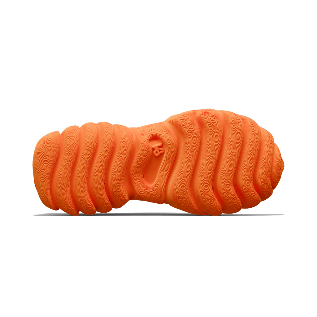 Basilisk - zellerfeld