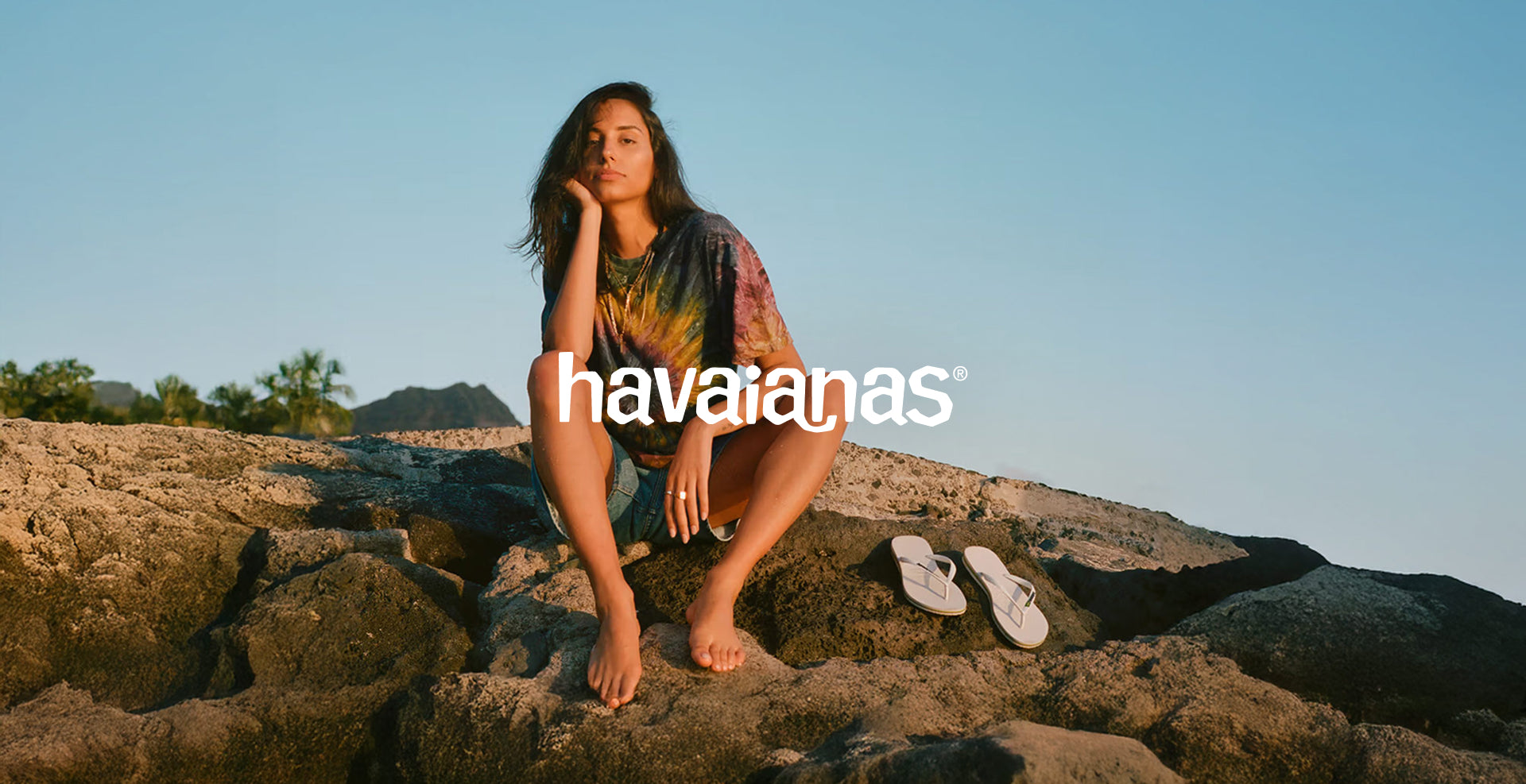 Havaianas As Legítimas デザインブック ハードカバー Havaianas – Zellerfeld