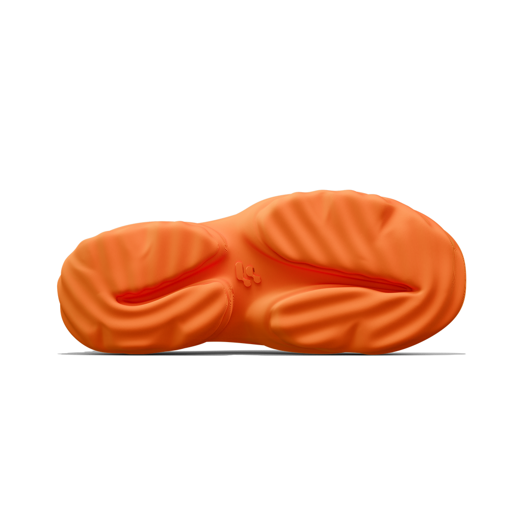 Nami - zellerfeld