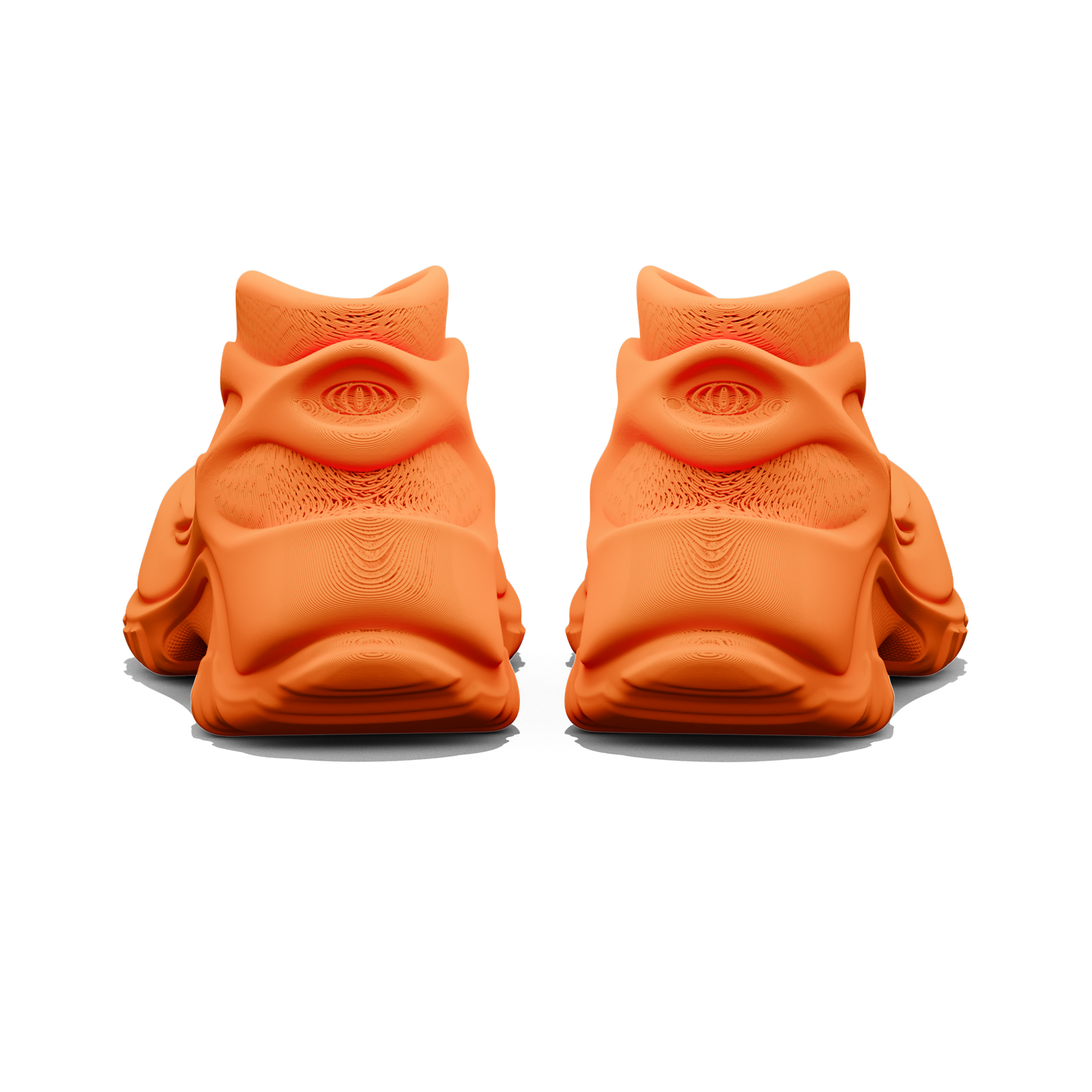 Rhinostrum - zellerfeld