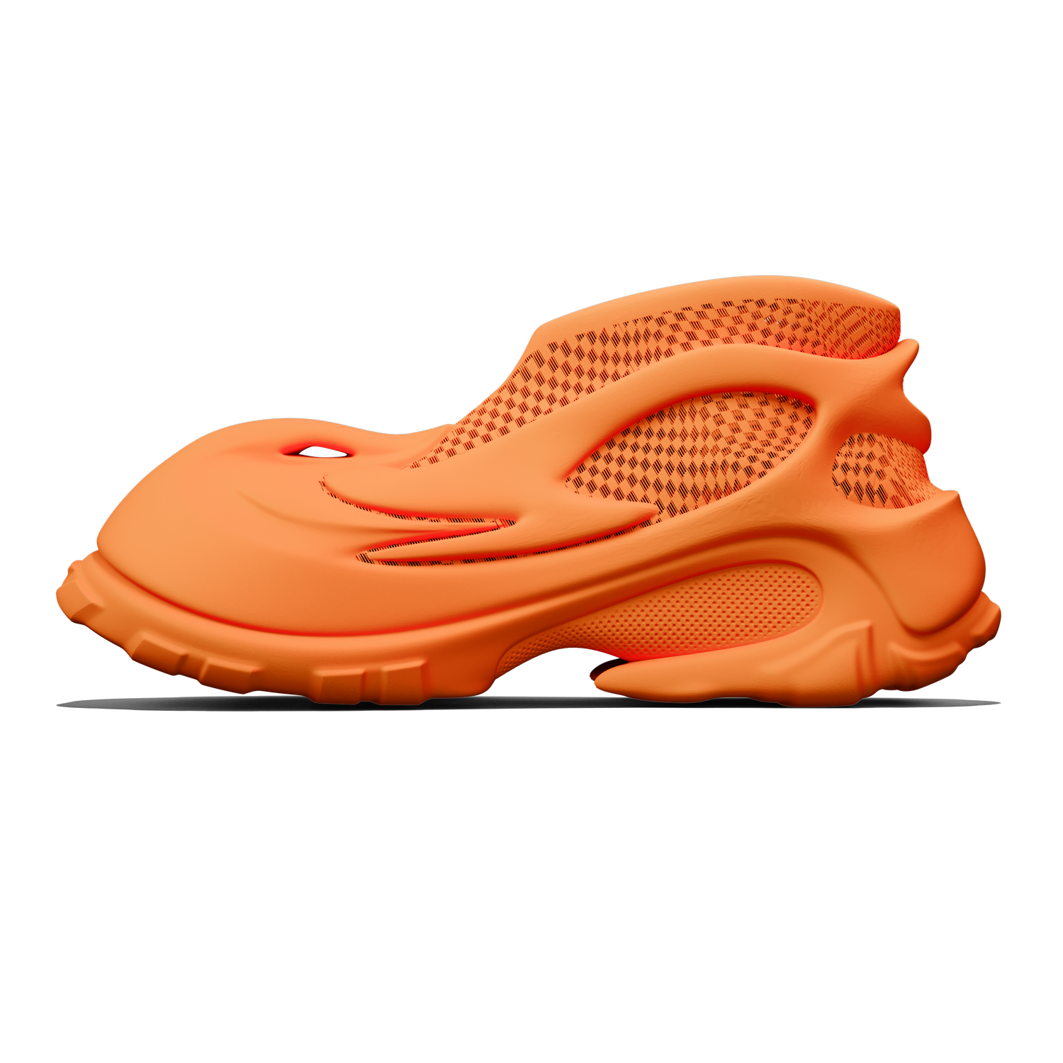 Rhinostrum - zellerfeld