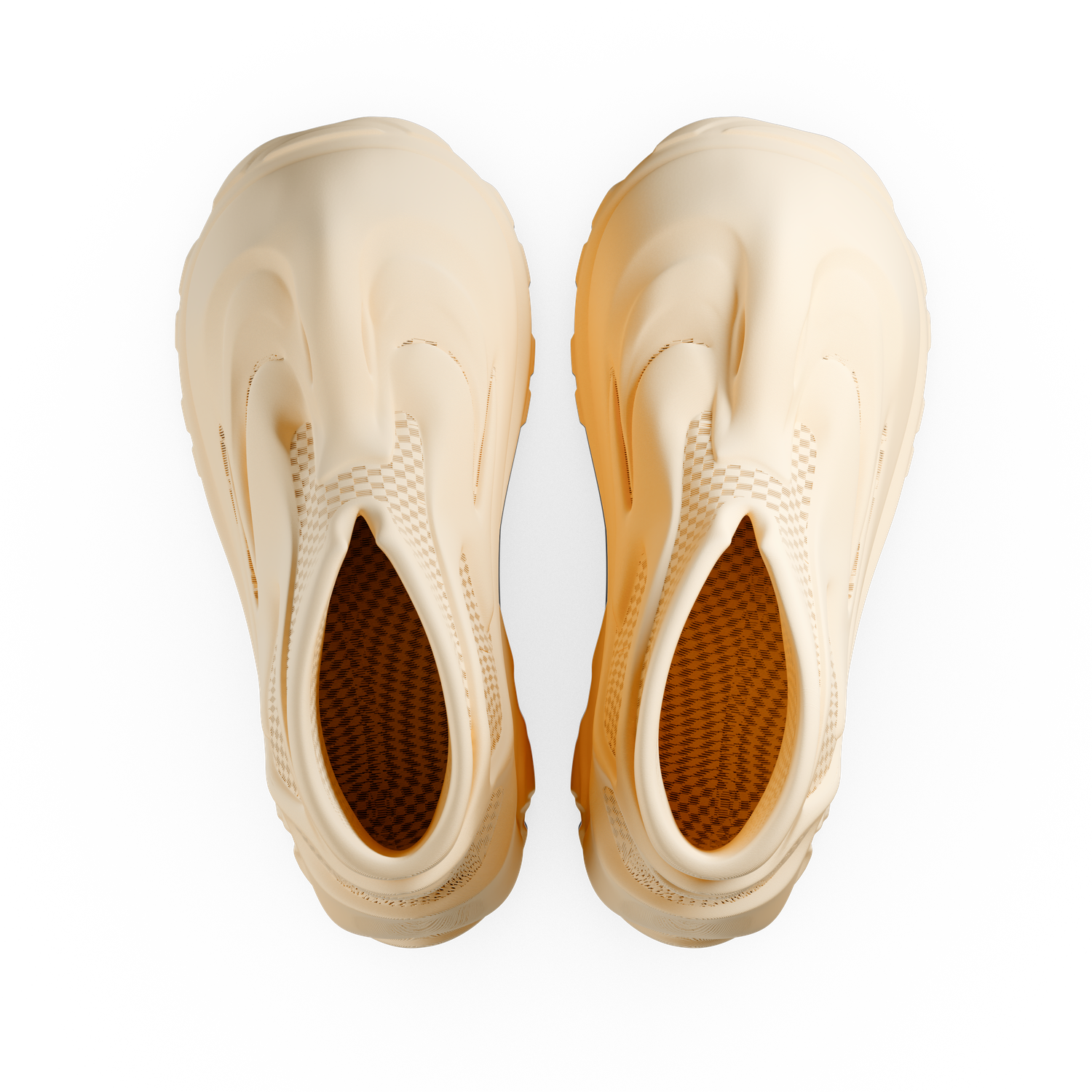 Rhinostrum - zellerfeld