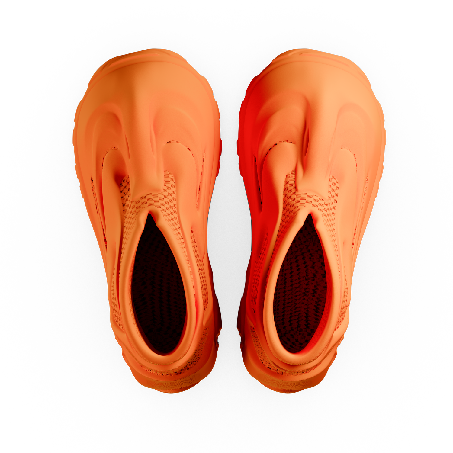 Rhinostrum - zellerfeld