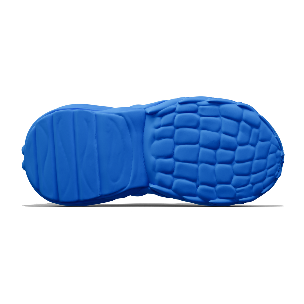 Reptile Evo - zellerfeld