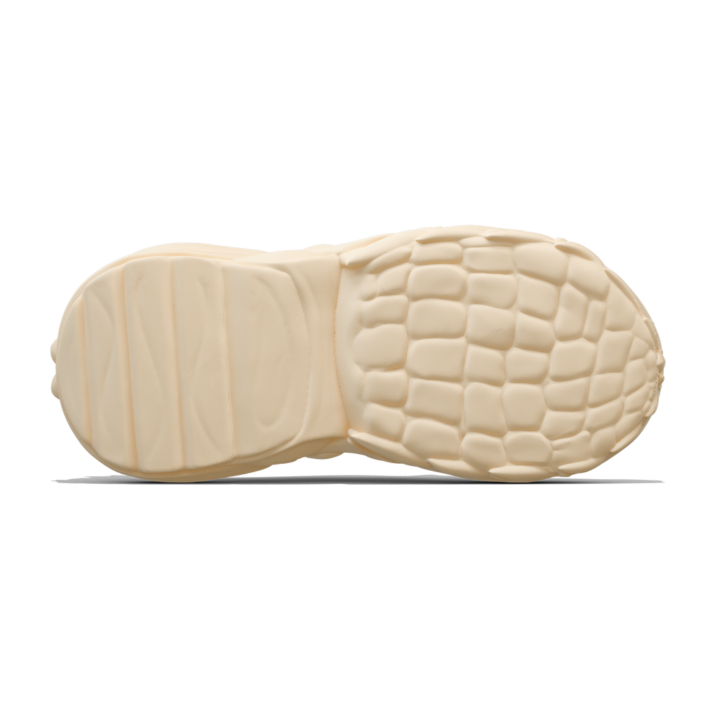 Reptile Evo - zellerfeld