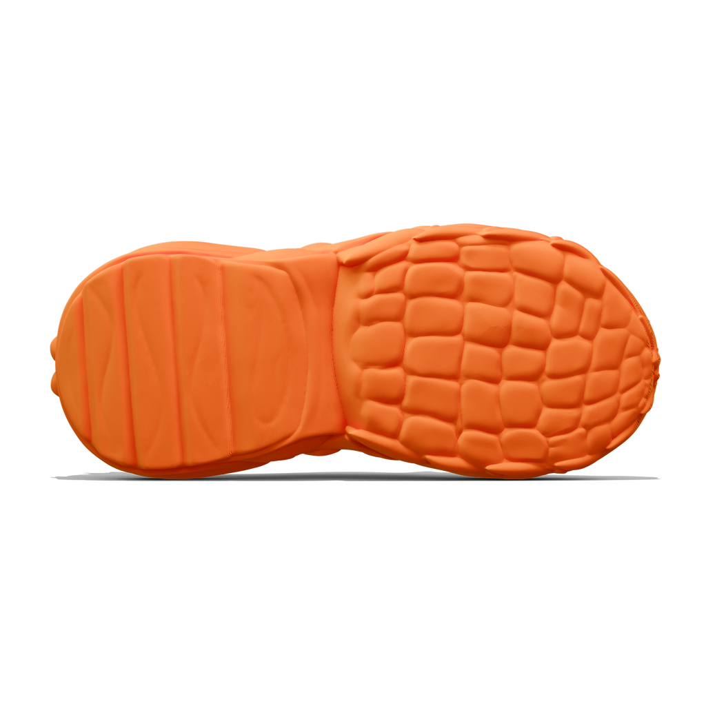 Reptile Evo - zellerfeld