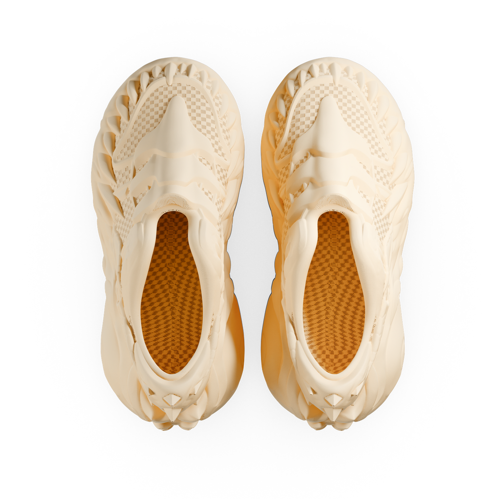 Reptile Evo - zellerfeld