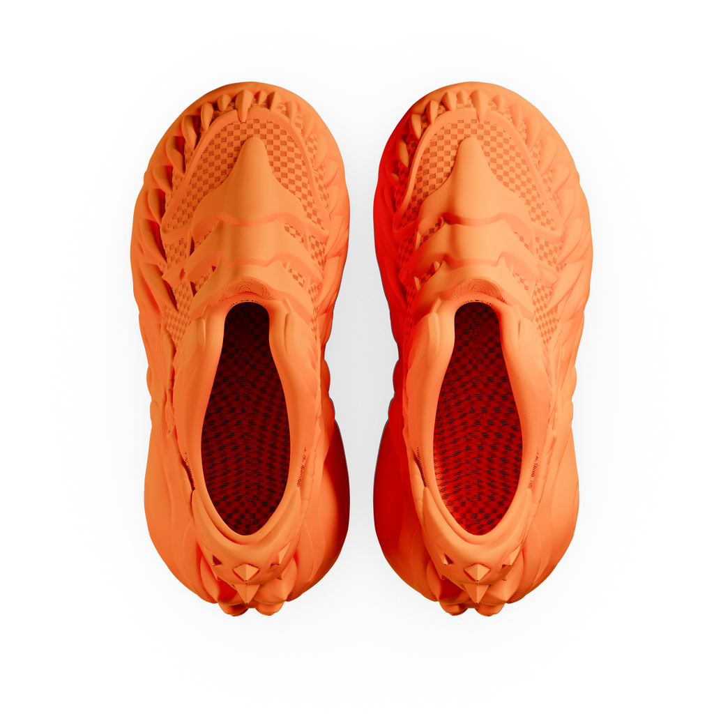 Reptile Evo - zellerfeld