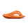 Xplorer