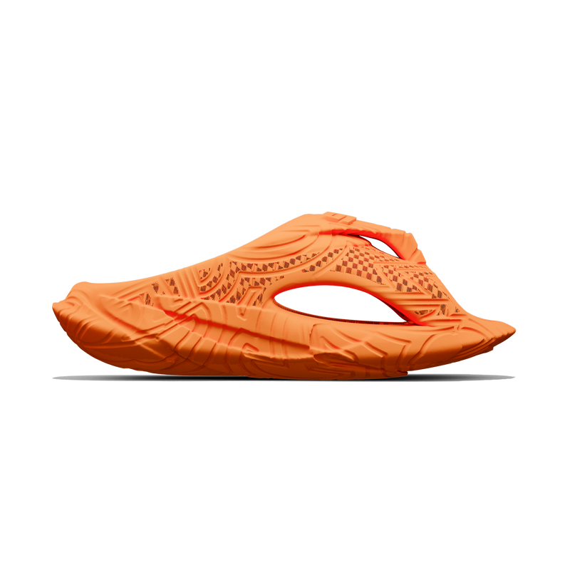 Xplorer