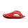 Xplorer