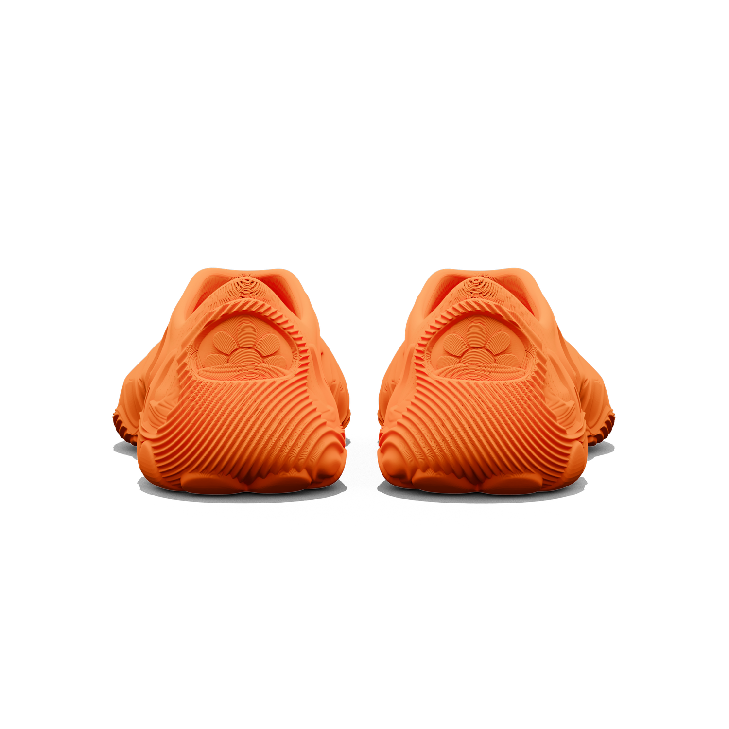 Flower Dynamic - zellerfeld