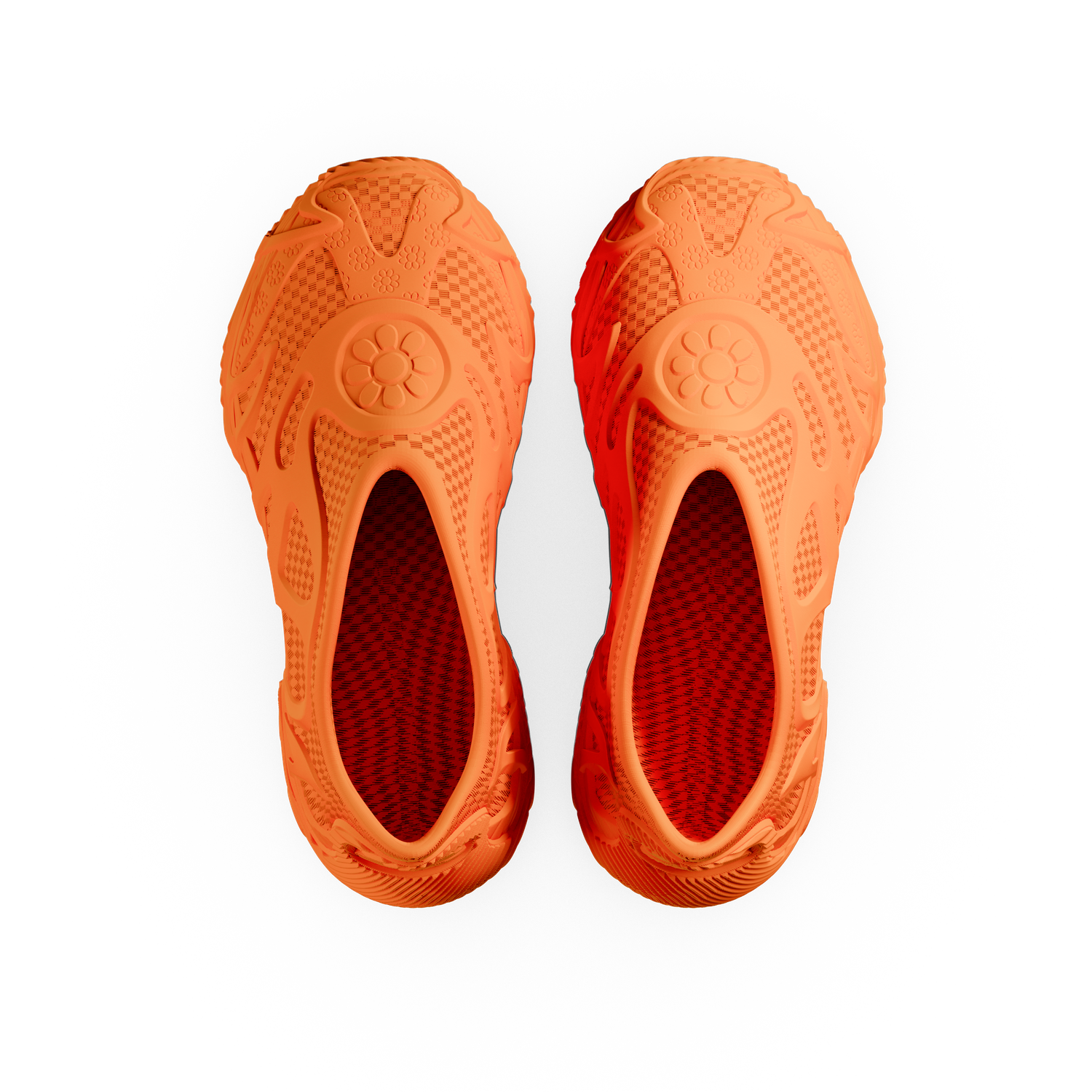 Flower Dynamic - zellerfeld