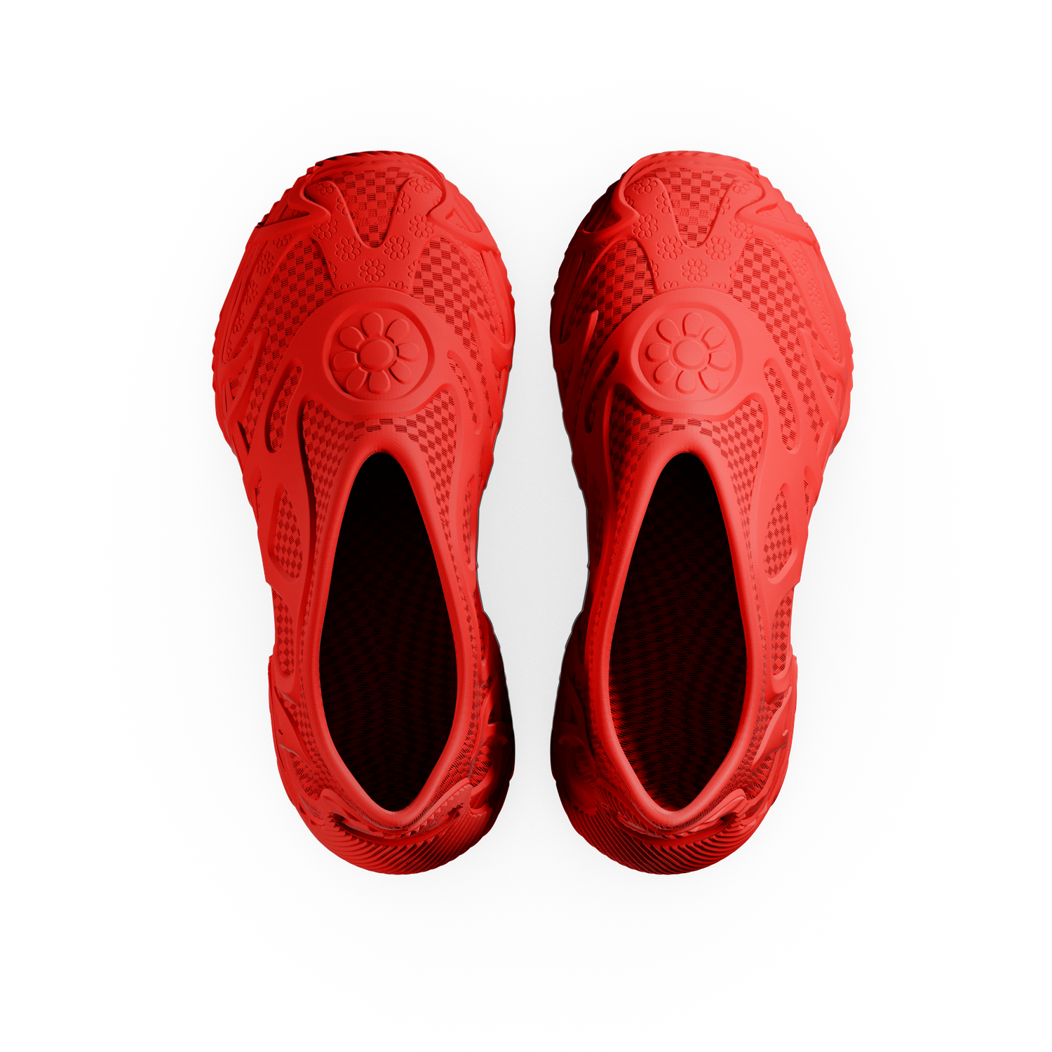 Flower Dynamic - zellerfeld